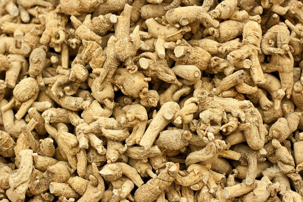 Raíz de ginseng para aumentar a potencia